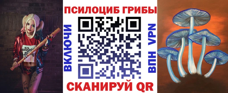 Псилоцибиновые грибы Psilocybine cubensis  Купить закладки  Гай 