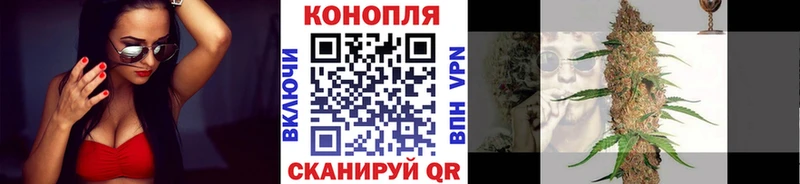 Марихуана Amnesia Гай